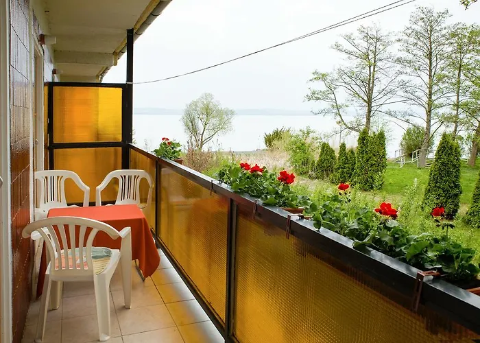 Lido Tarsasnyaralo *